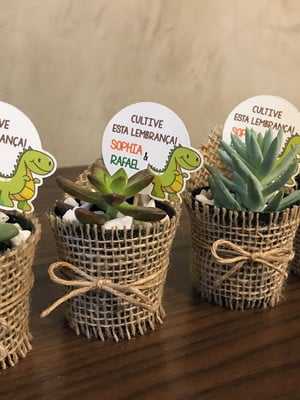 Lembrancinha dinossauro - suculentas
