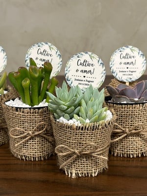 Lembrancinha de casamento suculentas