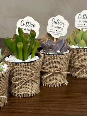 Lembrancinha de casamento suculentas