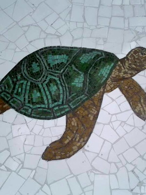 Tartaruga mosaico